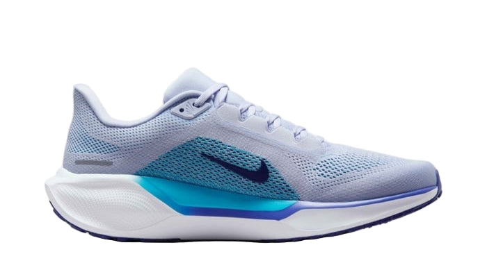 Nike Pegasus 41