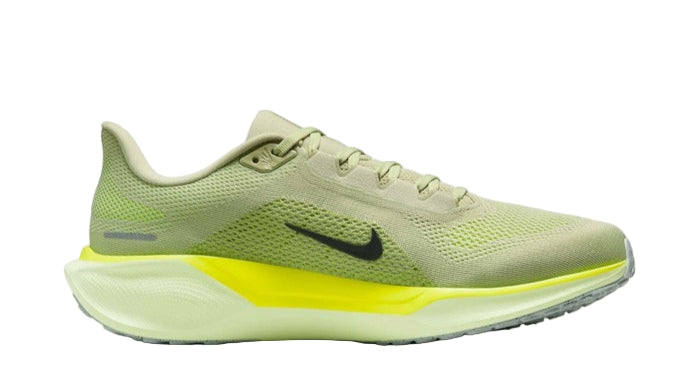 Nike Pegasus 41