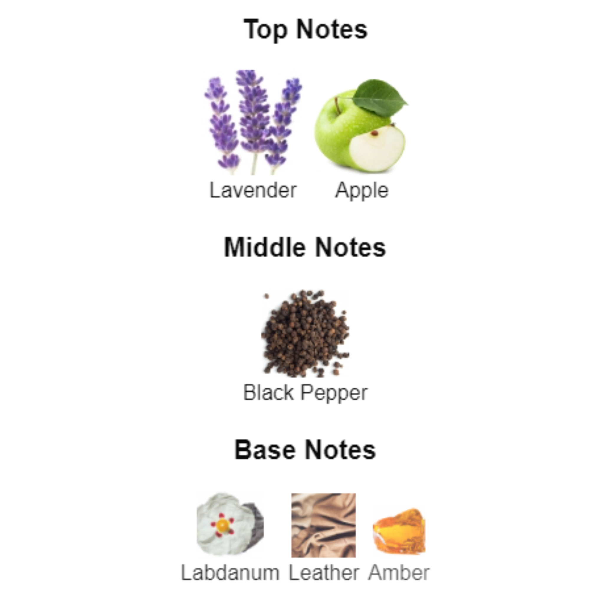 Ferragamo F by Silver for Men Edt 100ml - Jango Mall