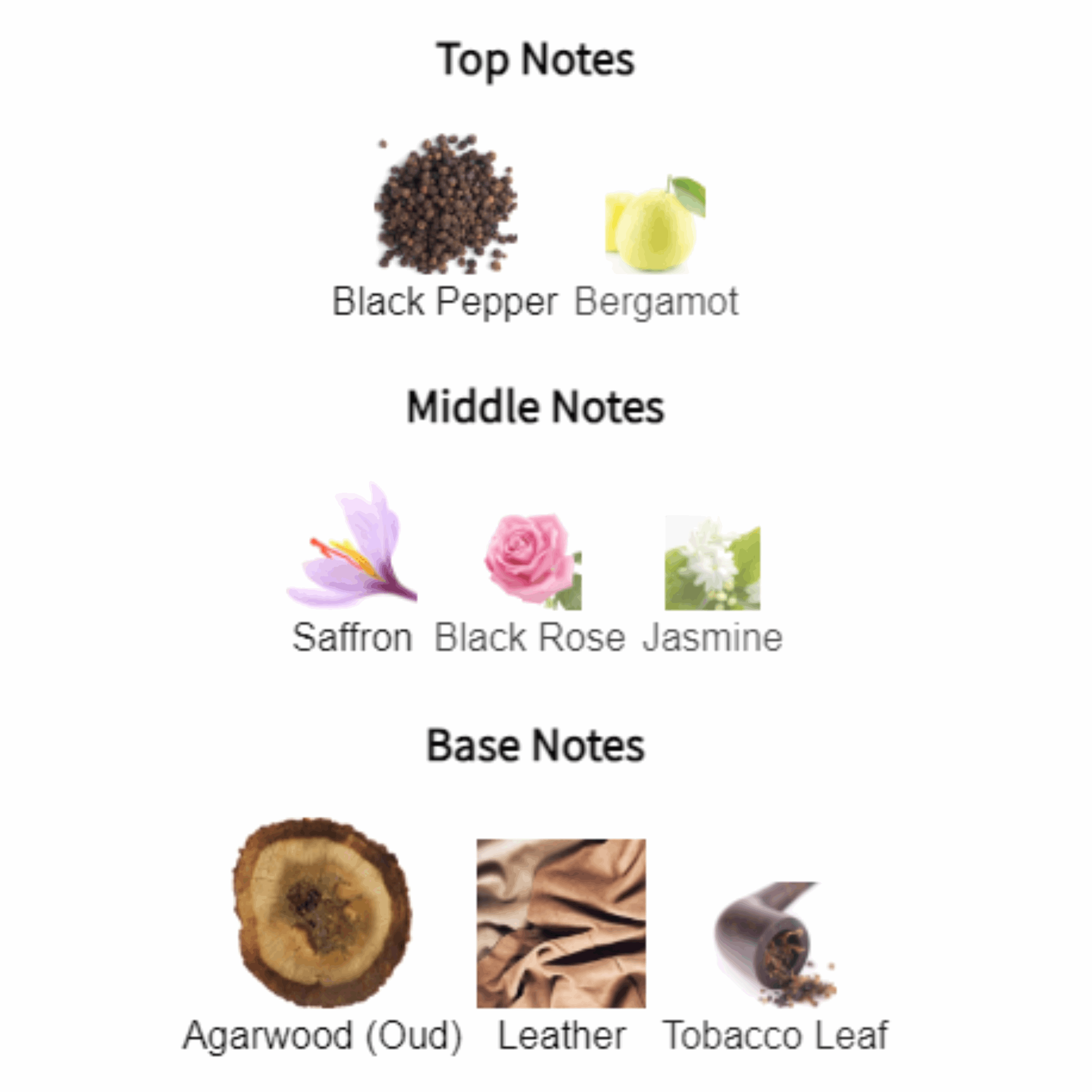 Dunhill Icon Absolute for Men Edp 100ml - Jango Mall