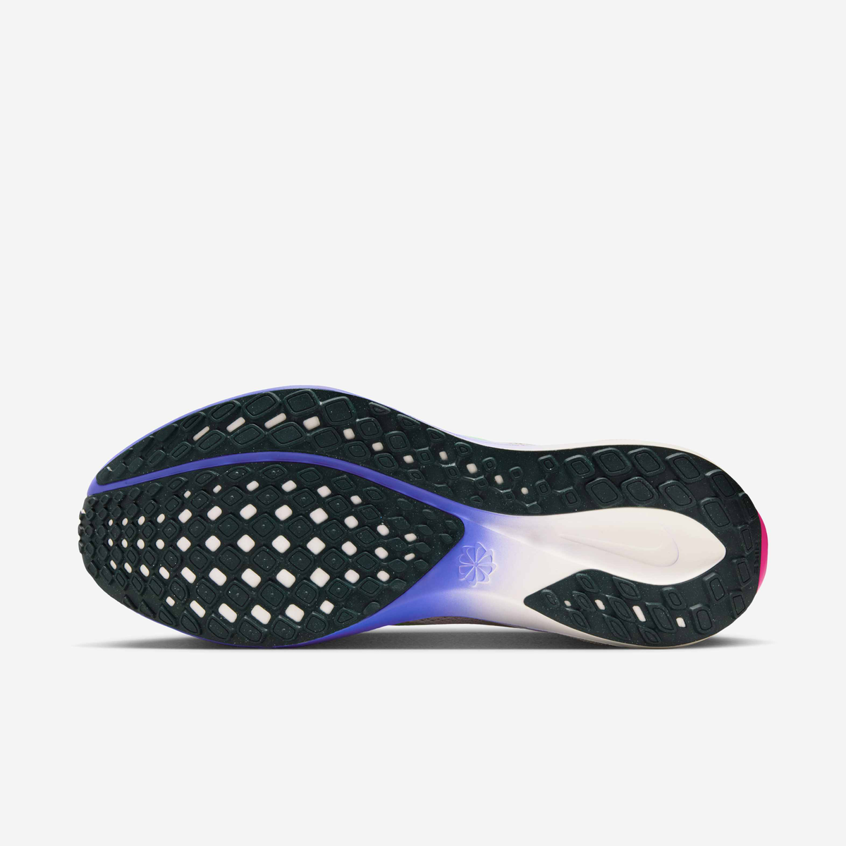 Nike Pegasus 41 - Silt Red/Persian Violet/Fire Pink/Green Shock