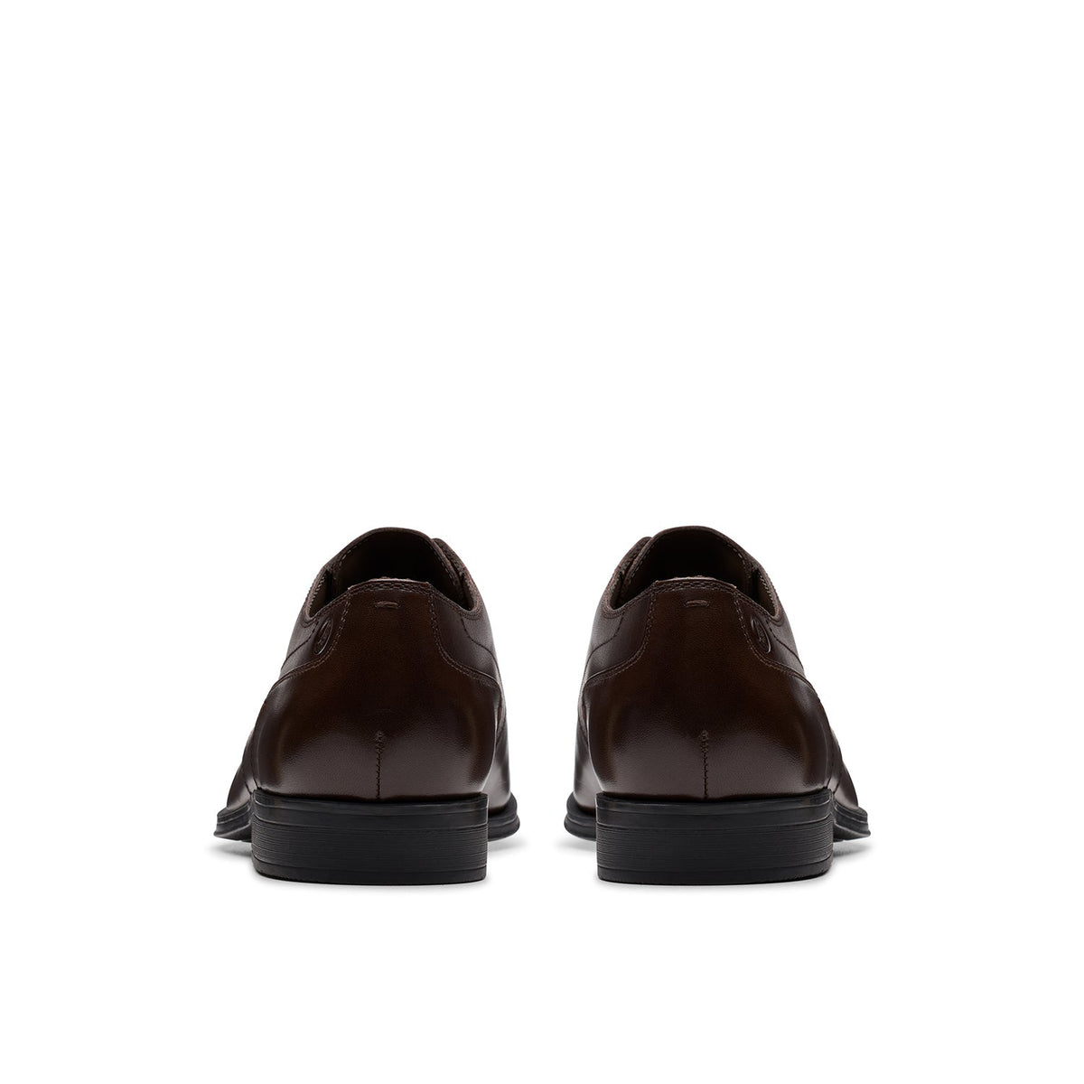 Paulton Lace - Brown