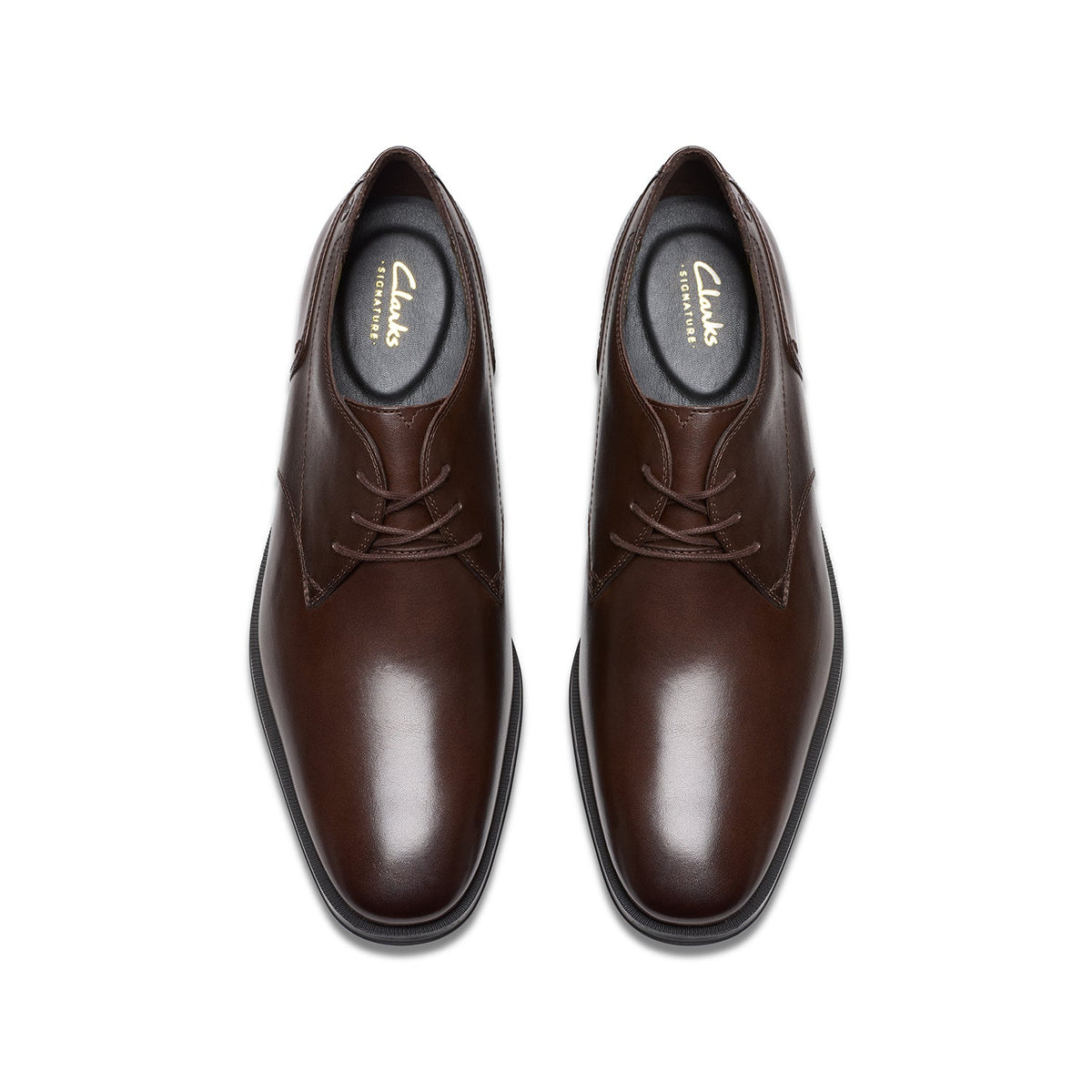 Paulton Lace - Brown
