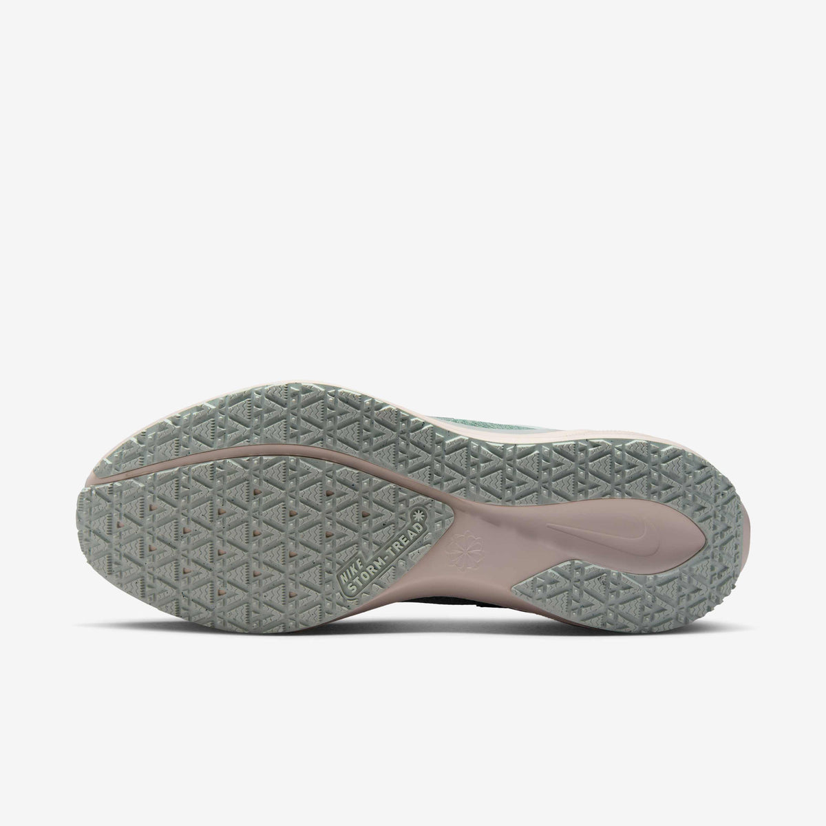 Nike Pegasus 41 GORE-TEX - Light Pumice/Pure Platinum/Silt Red/Metallic Silver