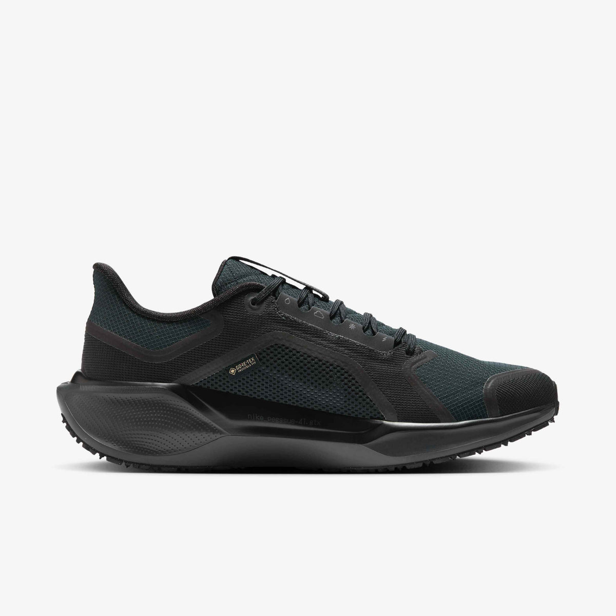 Nike Pegasus 41 GORE-TEX - Black/Anthracite/Black