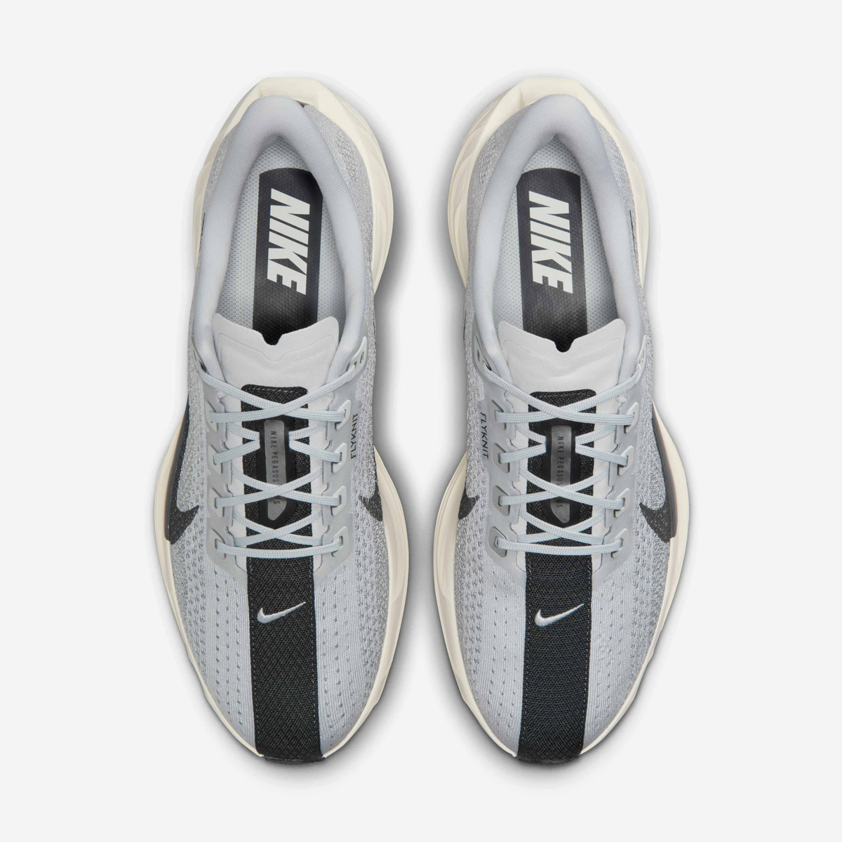 Nike Pegasus Plus - Pure Platinum/Wolf Grey/Sail/Anthracite
