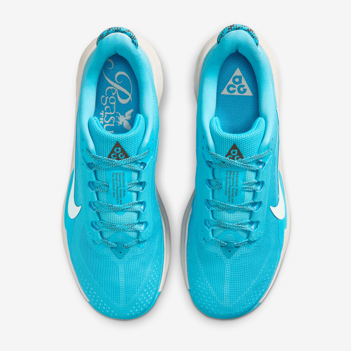 Nike ACG Pegasus Trail - Baltic Blue/Light Orewood Brown/Ironstone/Summit White