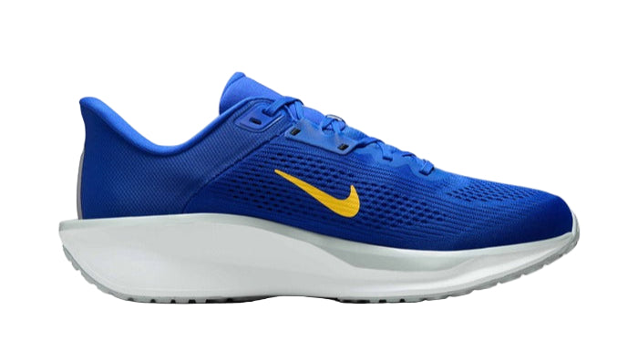Nike Quest 6