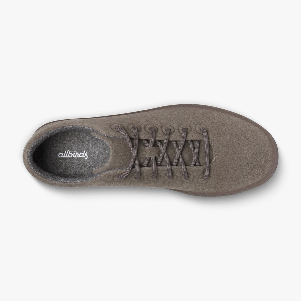 Allbirds Cruiser Terralux Sneaker Anthracite