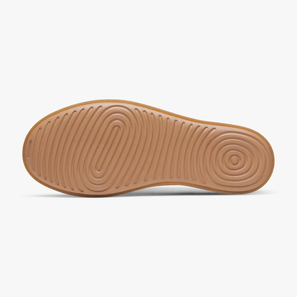 Allbirds Cruiser Terralux Sneaker Coconut