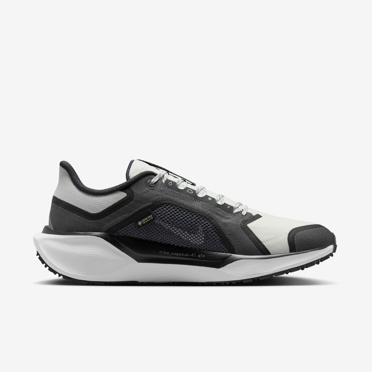 Nike Pegasus 41 GORE-TEX - Black/Anthracite/Iron Grey/Summit White