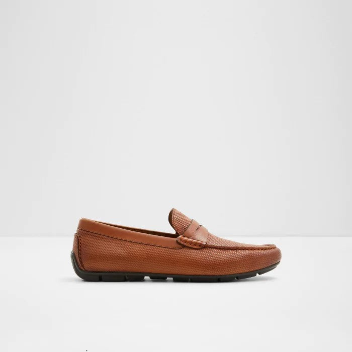 Aldo Discourse-In Men Loafer