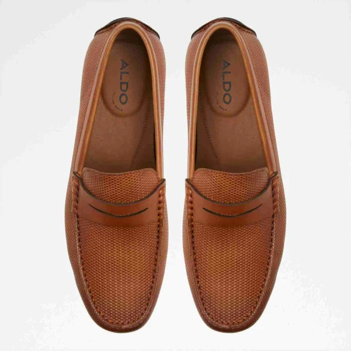 Aldo Discourse-In Men Loafer