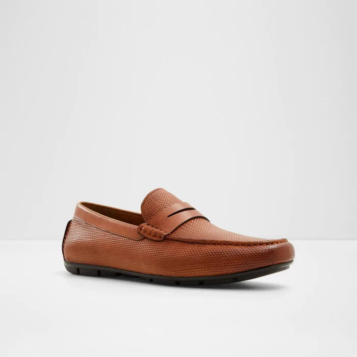 Aldo Discourse-In Men Loafer 