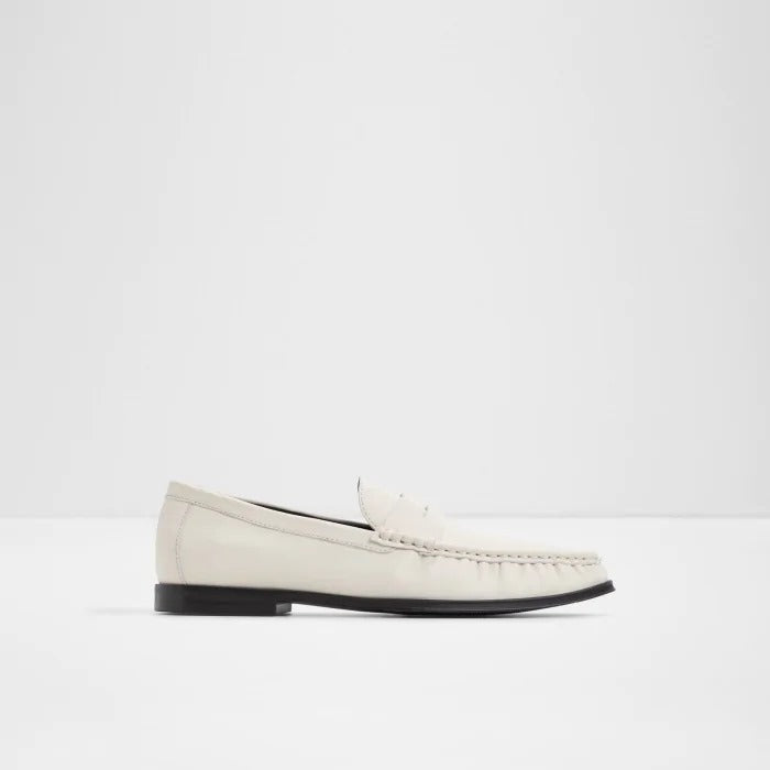 Aldo Speakeasy Men Loafer