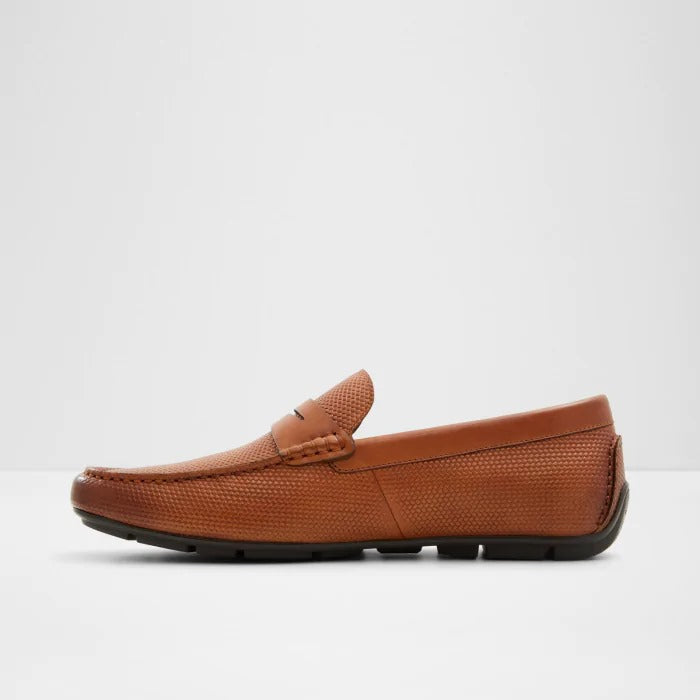 Aldo Discourse-In Men Loafer