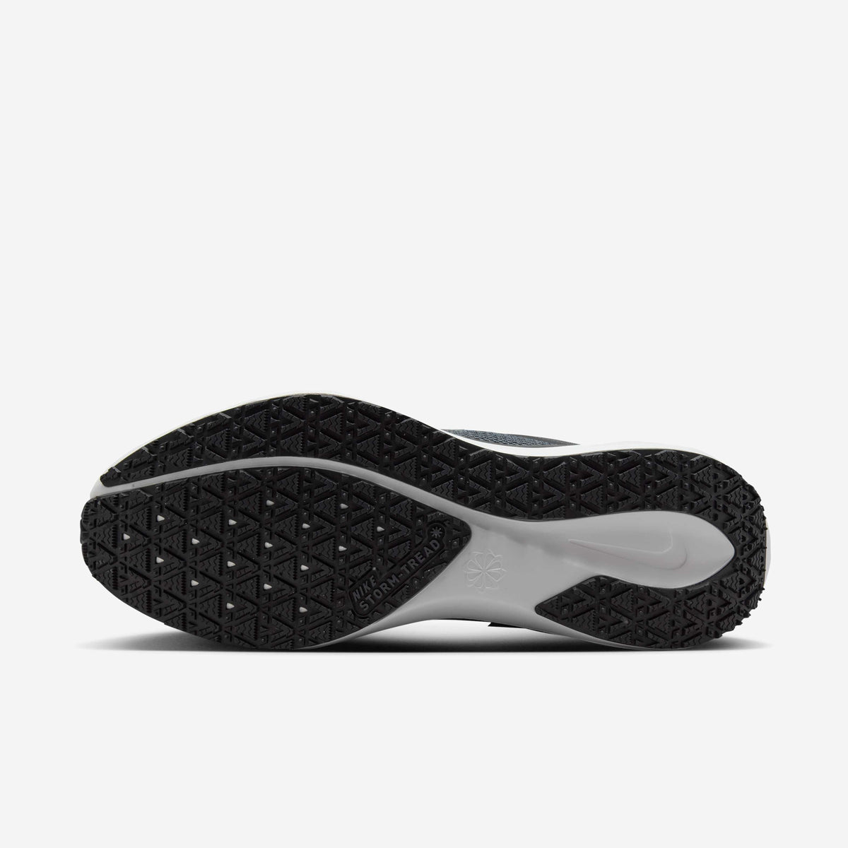 Nike Pegasus 41 GORE-TEX - Black/Anthracite/Iron Grey/Summit White