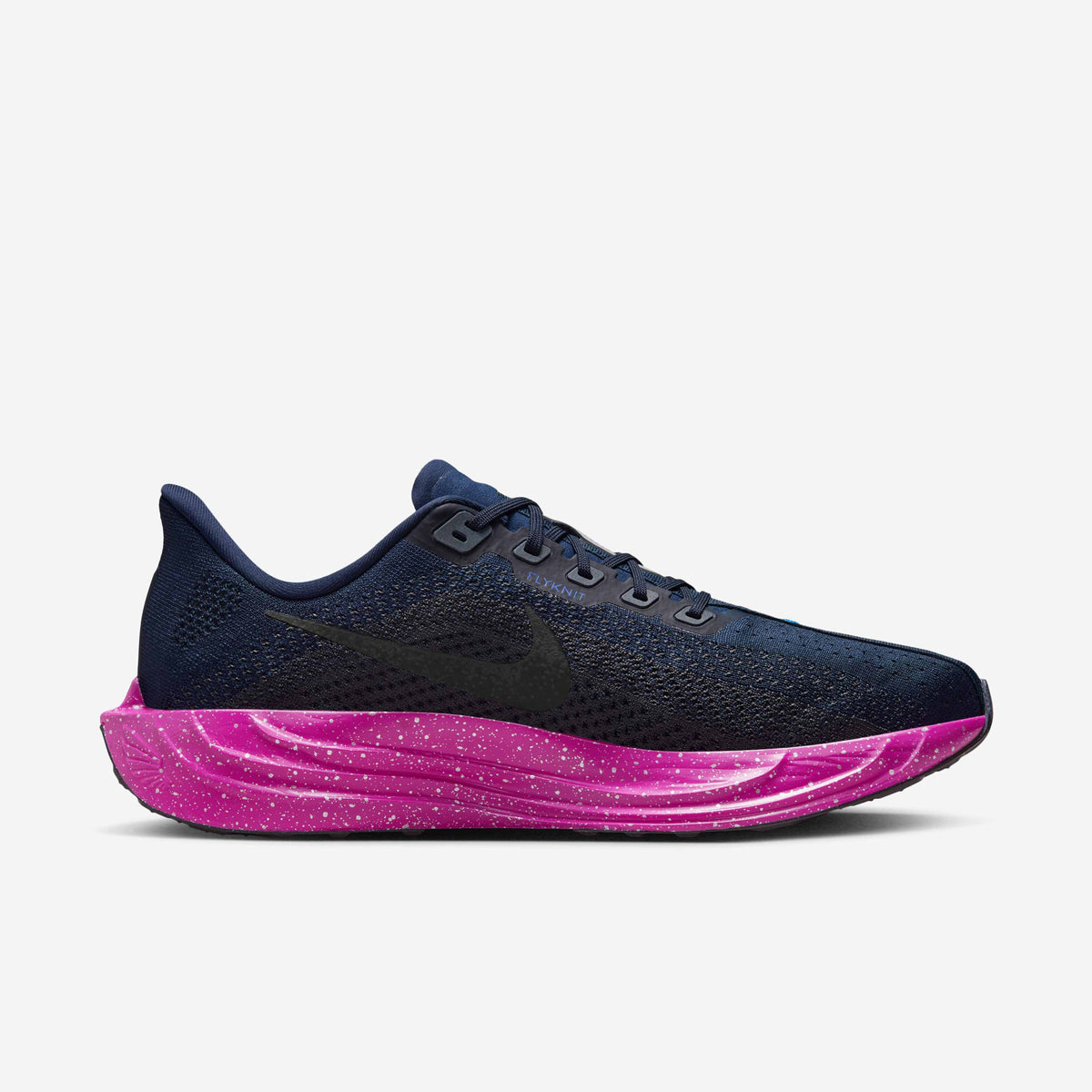 Nike Pegasus Plus SE - Obsidian/Hyper Violet/Racer Blue/Black