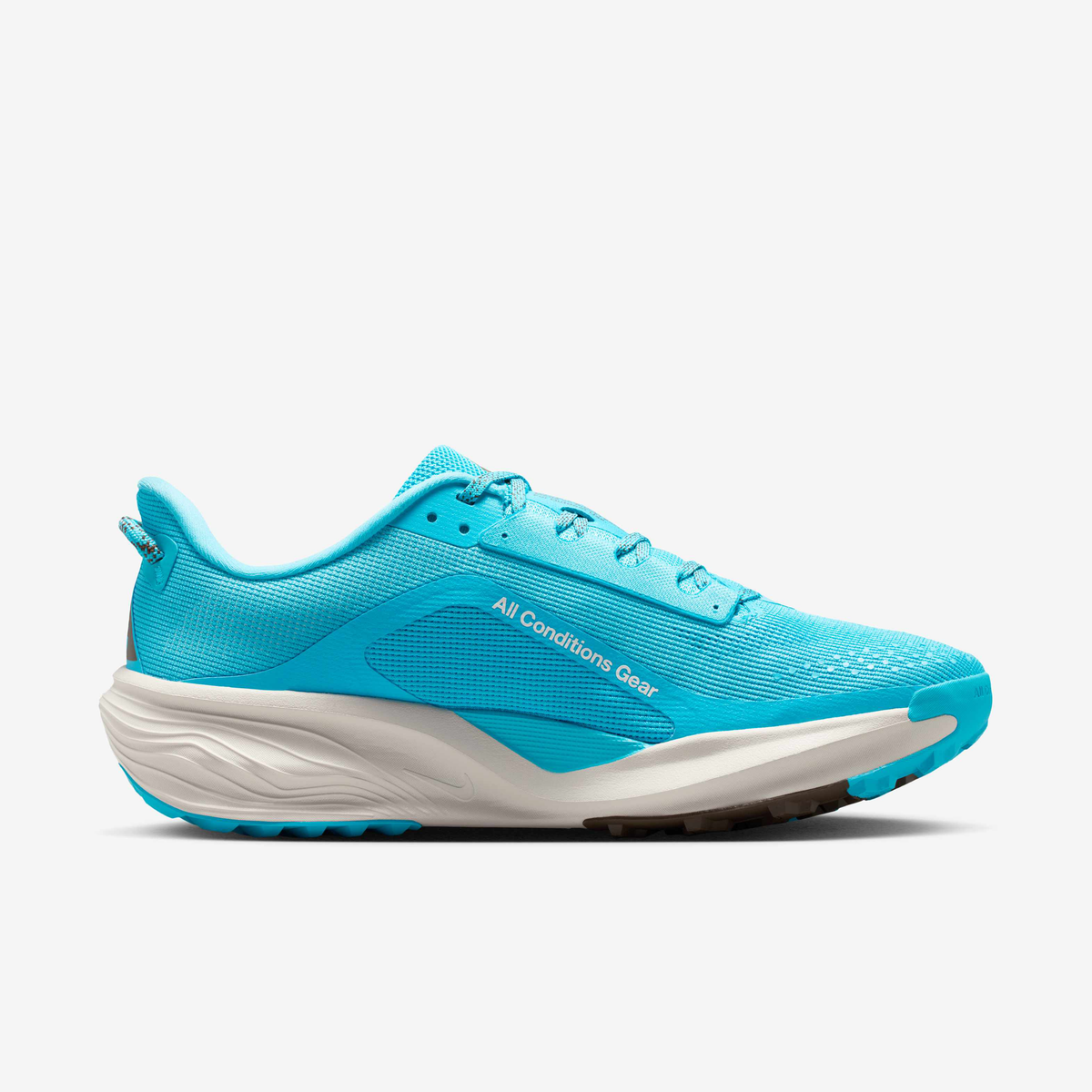 Nike ACG Pegasus Trail - Baltic Blue/Light Orewood Brown/Ironstone/Summit White