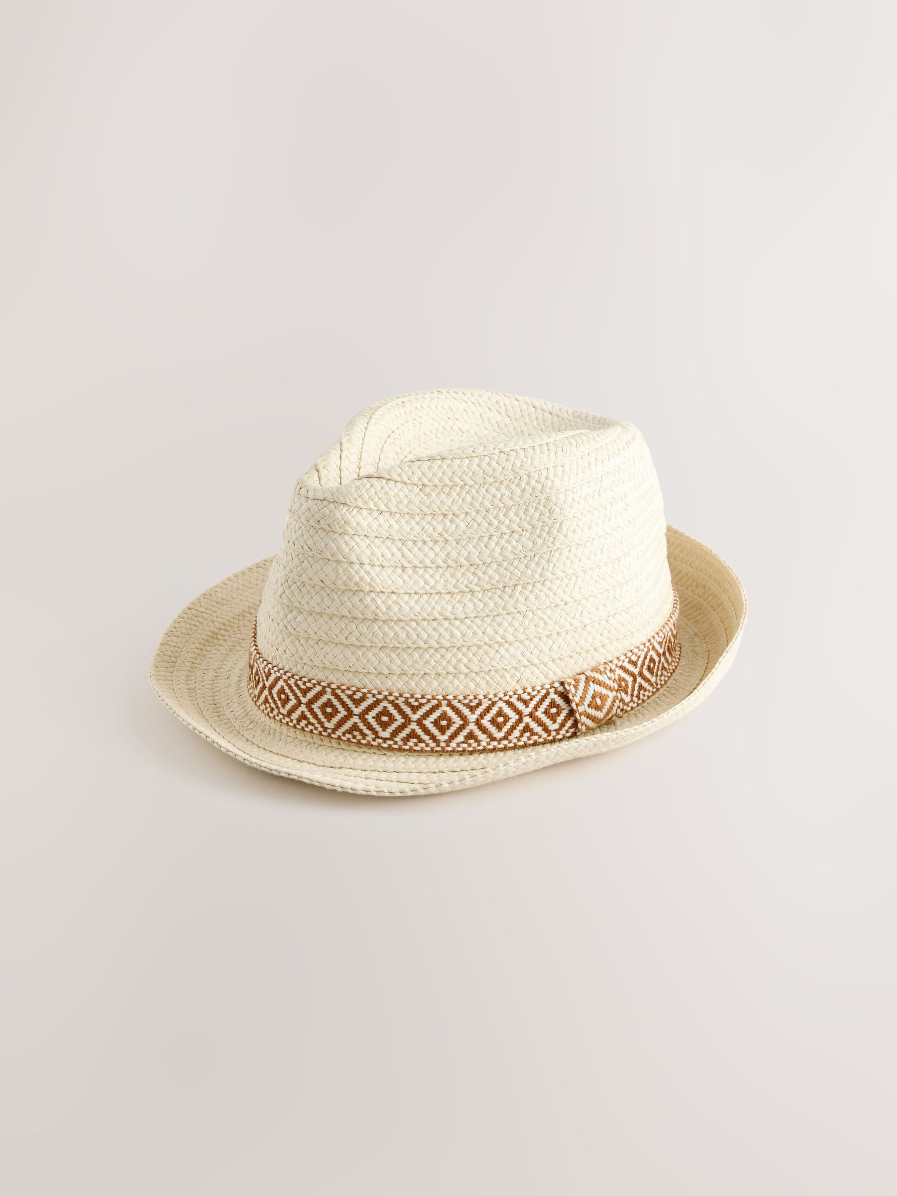 Neutral Brown Trilby Hat